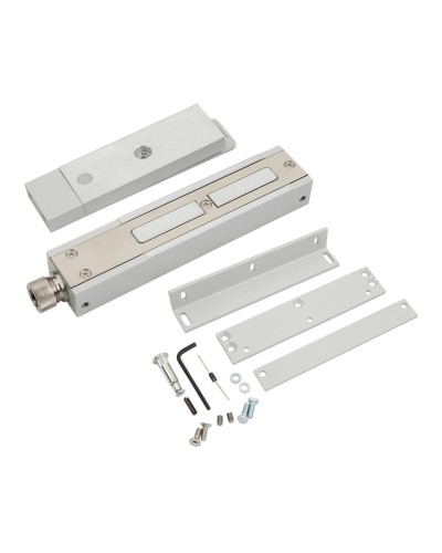ALM-FM-M22-G-24-T. Электромагнитный замок взрывозащищенный. ALeko в Пскове