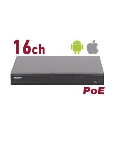 RK2216-P. Видеорегистратор IP 16-канальный. Beward в Пскове