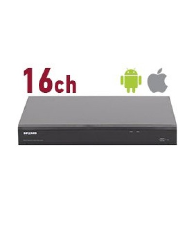 RK2216. Видеорегистратор IP 16-канальный. Beward в Пскове