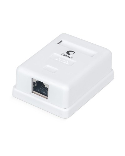 WS-8P8C-Cat.5e-SH-1 (7485c): Розетка RJ-45 в Пскове