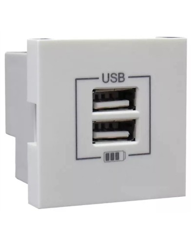 Розетка USB двойная, зарядная, белая (45439 SBR): Розетка USB двойная в Пскове