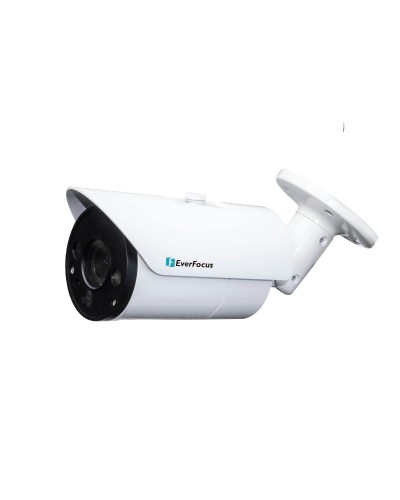 EZN-268V. Видеокамера IP купольная. EverFocus в Пскове