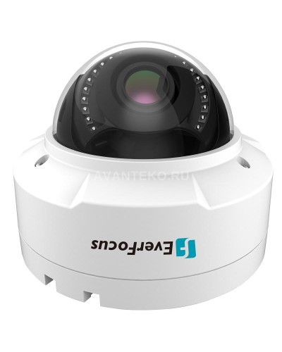 EHN-1250. Видеокамера IP купольная. EverFocus в Пскове