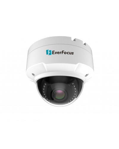 EHN-2550. Видеокамера IP купольная. EverFocus в Пскове