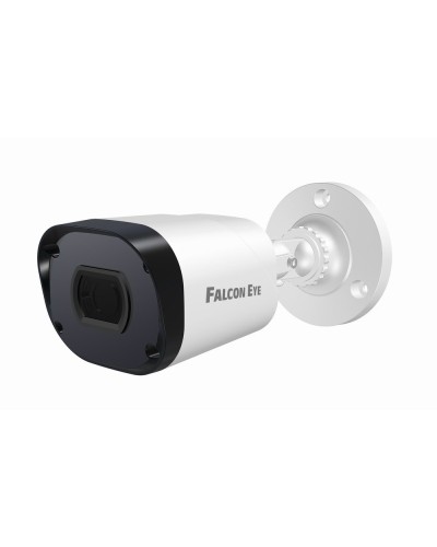 FE-IPC-BP2e-30p. Видеокамера IP цилиндрическая. Falcon EYE в Пскове