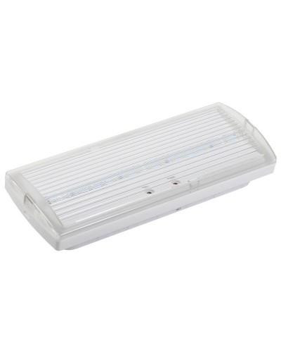Светильник аварийный ДПА 5030-1 1ч IP20 LIGHTING (LDPA0-5030-1H-K01). Светильник аварийный постоянного действия. IEK в Пскове