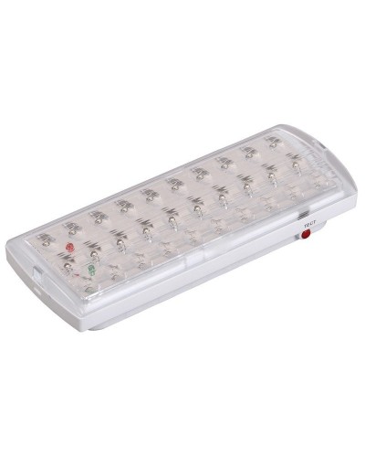 Светильник аварийный ДПА 2101 4ч IP20 LIGHTING (LDPA0-2101-30-K01). Светильник аварийный непостоянного действия. IEK в Пскове