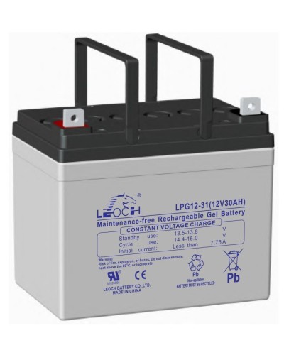 LEOCH LPG 12-31. Аккумулятор герметичный свинцово-кислотный. LEOCH в Пскове