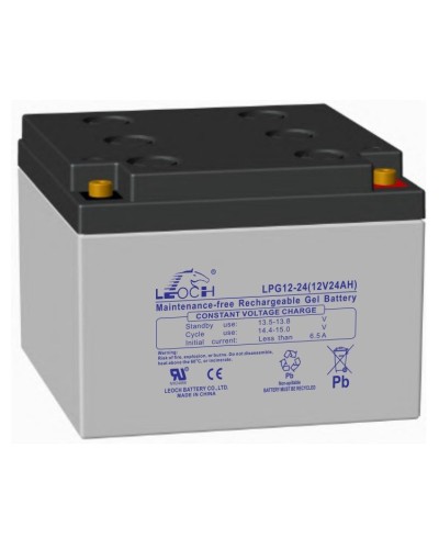 LEOCH LPG 12-24. Аккумулятор герметичный свинцово-кислотный. LEOCH в Пскове