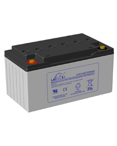 LEOCH LPG 12-65. Аккумулятор герметичный свинцово-кислотный. LEOCH в Пскове