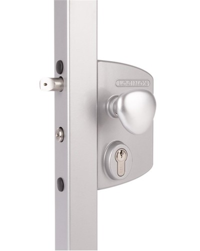 LIKQ4040 U2L (цвет: RAL 9005, черный). Замок электромеханический для калиток. Locinox в Пскове