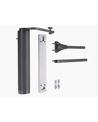 VERTICLOSE-2-WALL-9005. Доводчик гидравлический. Locinox в Пскове