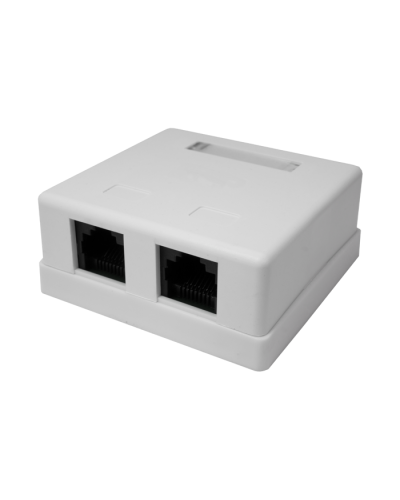 Розетка настенная RJ-45, 8P8C, Cat.5e, 2 порта UTP (10-0309): Компьютерная розетка в Пскове