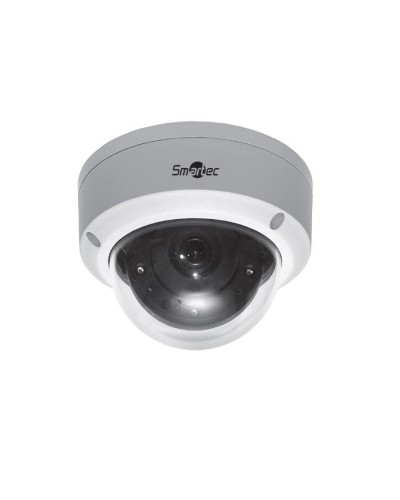 STC-IPMA5520A/1. Видеокамера IP купольная. Smartec в Пскове