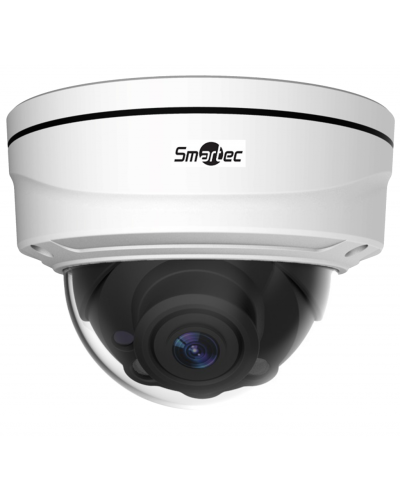 STC-IPM5512A/1 rev.2 Estima. Видеокамера IP купольная. Smartec в Пскове