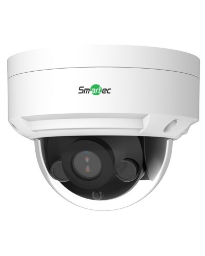 STC-IPM5506A/1 Estima. Видеокамера IP купольная. Smartec в Пскове