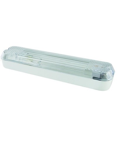 ДПБ 01-2х6-001 12 Вт, LED, 1000 лм, 4000 К, IP40. Светильник вандалоустойчивый . TDM ЕLECTRIC в Пскове