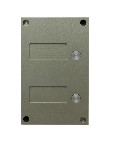 BS-424-2. Кнопочная панель. VIZIT в Пскове
