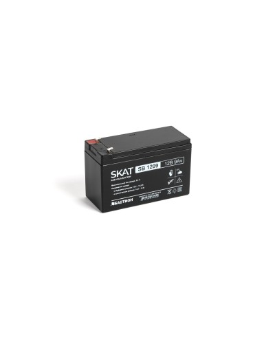 SKAT SB 1209 (2540). Аккумулятор герметичный свинцово-кислотный. Бастион в Пскове