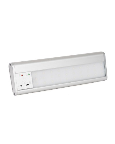 SKAT LT-2330-LED-Li-lon (2450). Светильник аварийного освещения. Бастион в Пскове