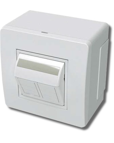 Коробка в сборе с 2 розетками RJ45, кат.5е, белая (10656): Коробка в сборе в Пскове