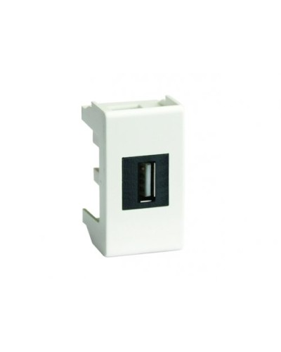 Розетка USB 2.0 Brava 1 модуль белая (76200B): Розетка USB в Пскове