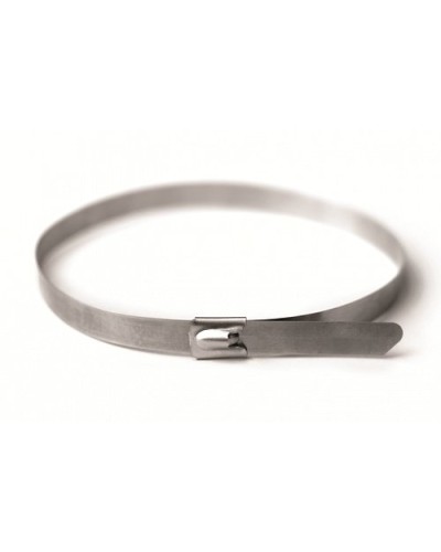 Хомут из нержавеющей стали AISI 316 8х600 (20 шт) (27616): Хомут из нержавеющей стали в Пскове