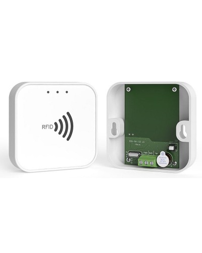 RFID-TM. Считыватель RFID. Ритм в Пскове