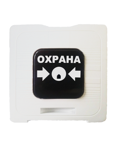 ИР 513-10 ОХРАНА (белый). Элемент дистанционного управления. Рубеж в Пскове