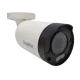 Falcon Eye в Пскове