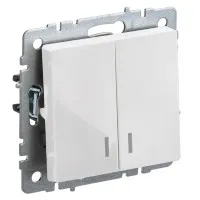 Выключатель 2-клавишный ВС10-2-1-БрБ белый BRITE (BR-V20-1-10-K01). Выключатель с индикацией. IEK