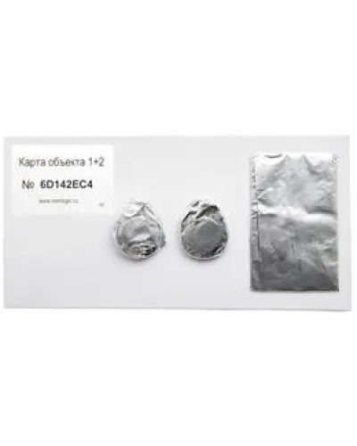 Карта объекта 1+2. Проксимити карта. IronLogic в Пскове