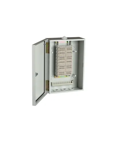 ШРН-В/100-Р (120908-00122). Шкаф ШРН-В/100-Р, плинт ПВТ-10Р-5е. ССД (Связьстройдеталь) в Пскове