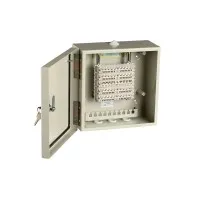 ШРН-В/50-Р (120908-00115). Шкаф ШРН-В/50-Р, плинт ПВТ-10Р-5е. ССД (Связьстройдеталь)